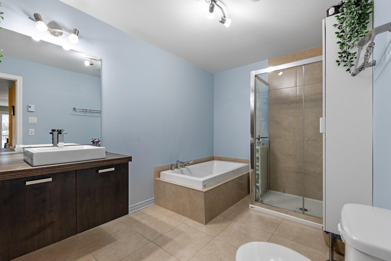 Bathroom - 12-4178 Mtée St-Hubert, Longueuil (Saint-Hubert), QC - Indoor Photo Showing Bathroom