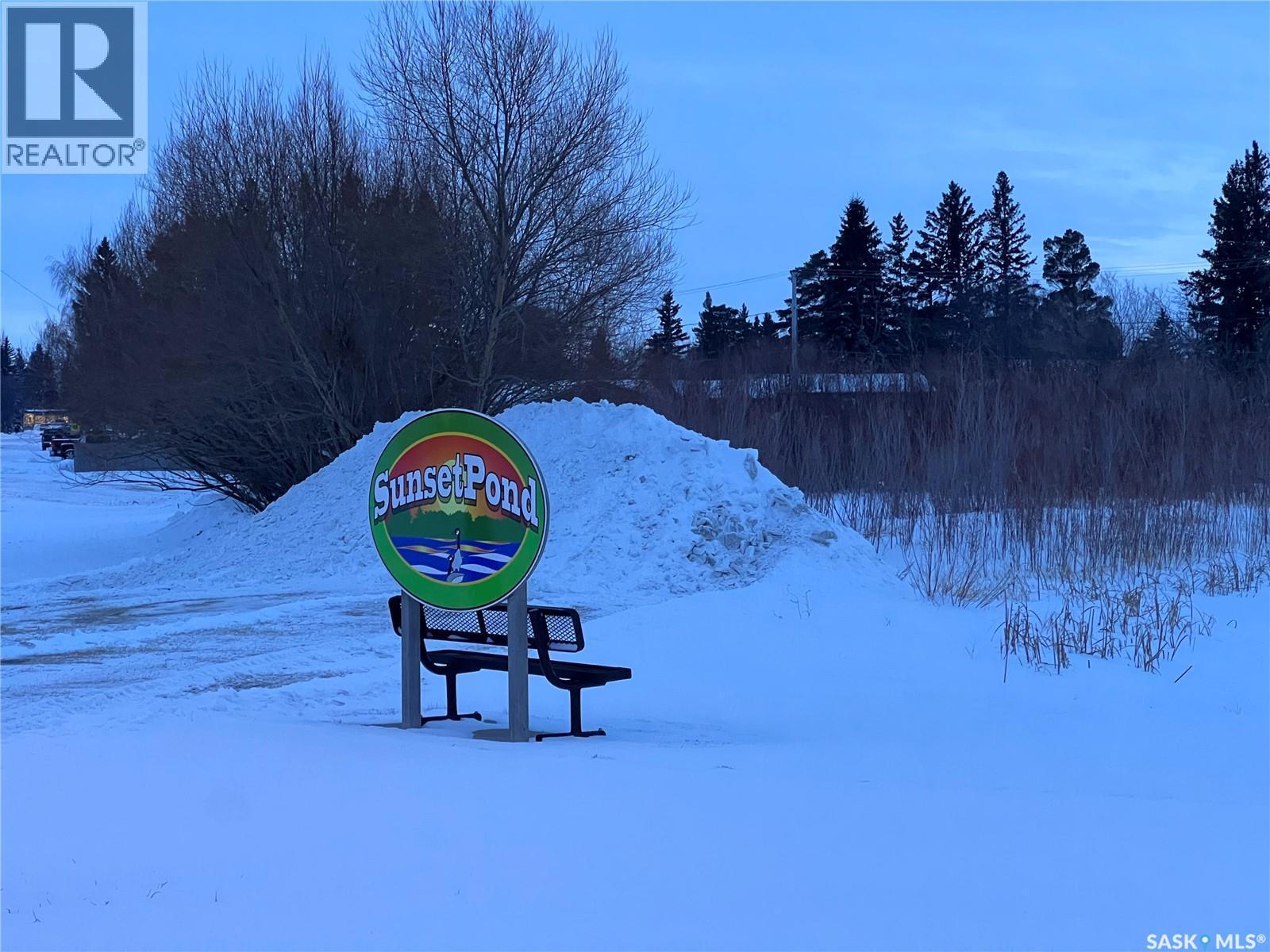 310 5Th Avenue, Cudworth, SK - Outdoor