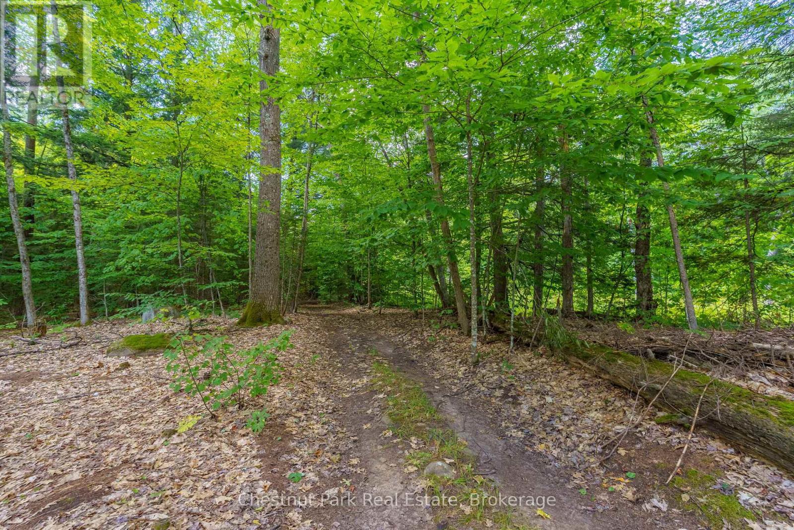 2698 Old Muskoka Road, Huntsville (Stephenson), ON - Outdoor