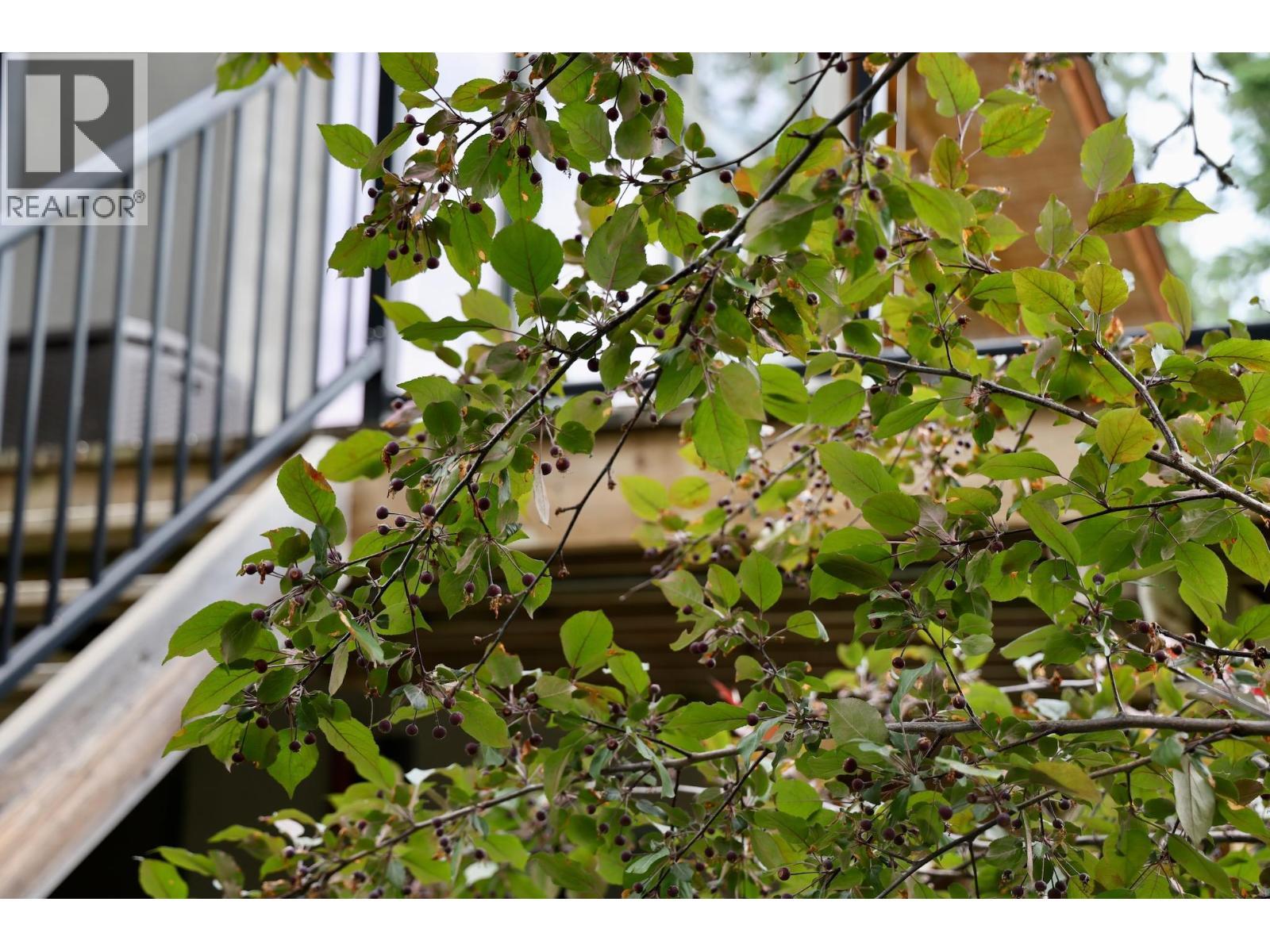 1529 Quartz Crescent, Golden, BC - Outdoor