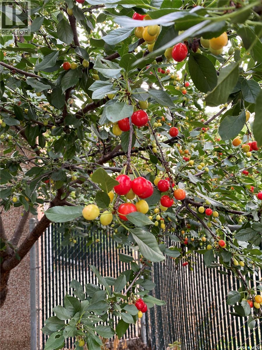 14 Yale Crescent, Saskatoon, SK - Outdoor