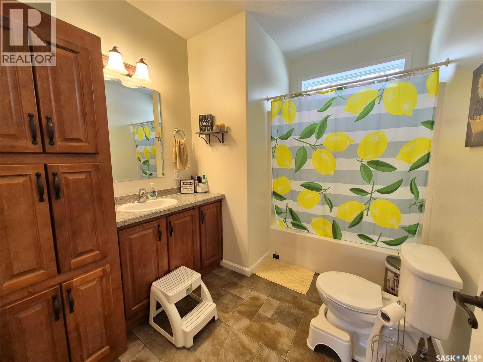 202 Saskatchewan Avenue, Pangman, SK - Indoor Photo Showing Bathroom