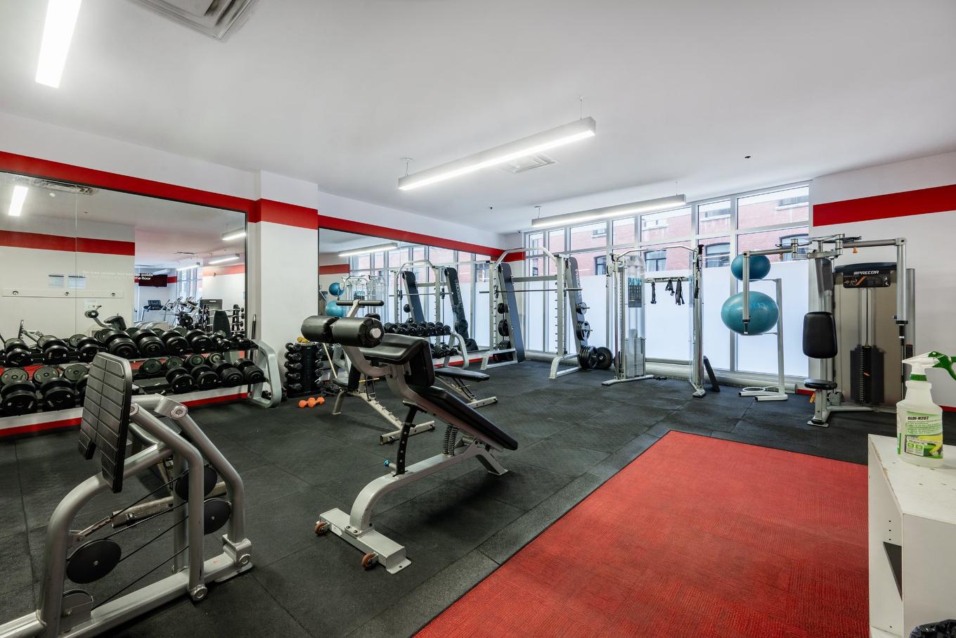 Exercise room - 510-300 Rue Ann, Montréal (Le Sud-Ouest), QC - Indoor Photo Showing Gym Room
