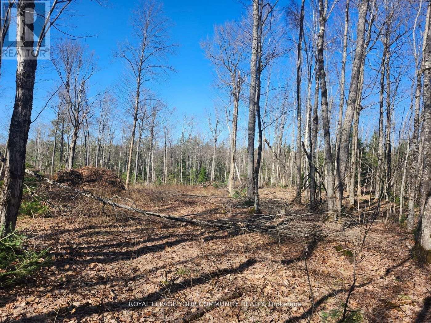 1282 Highway 118 Road E, Bracebridge, ON