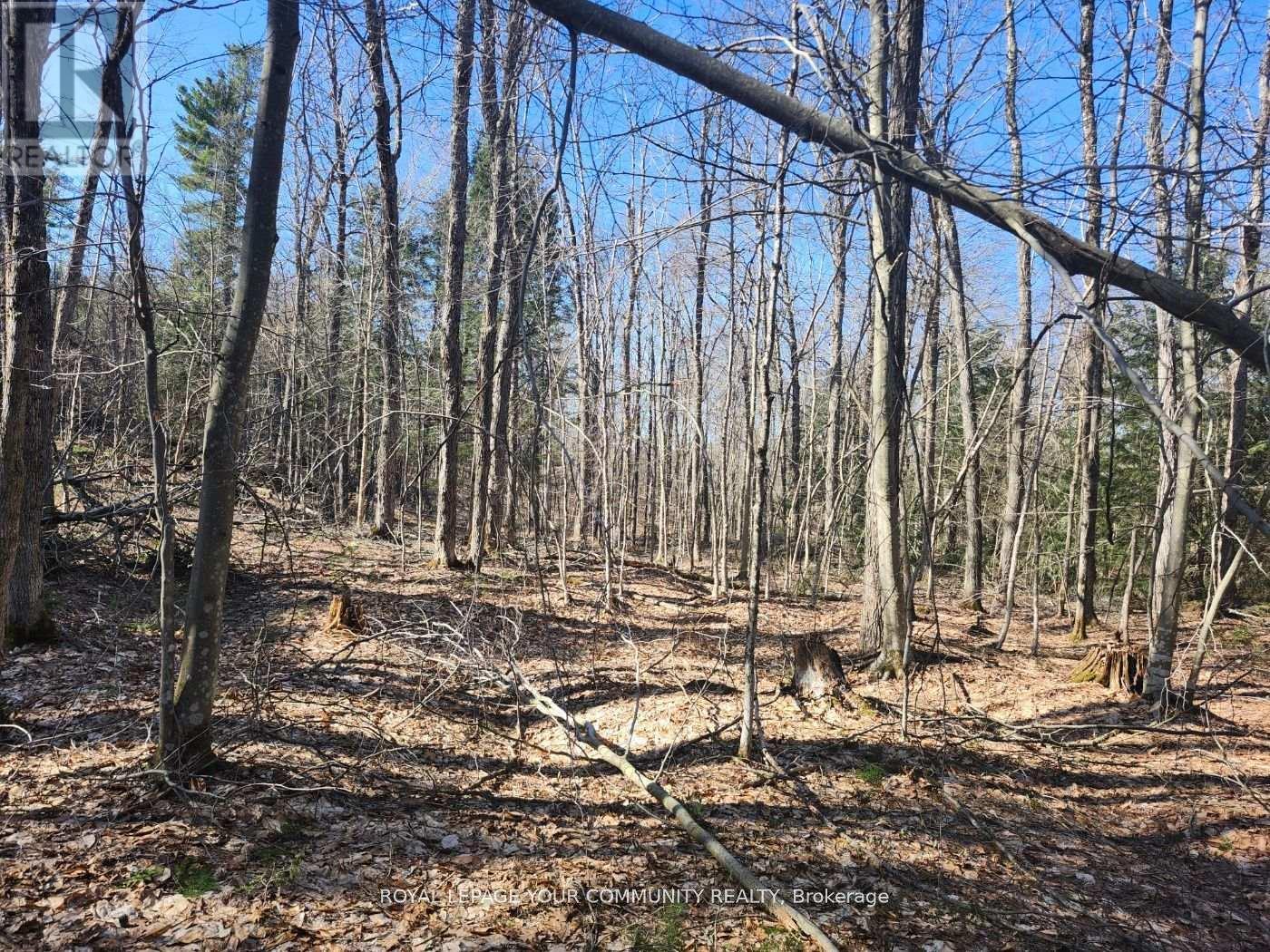 1282 Highway 118 Road E, Bracebridge, ON