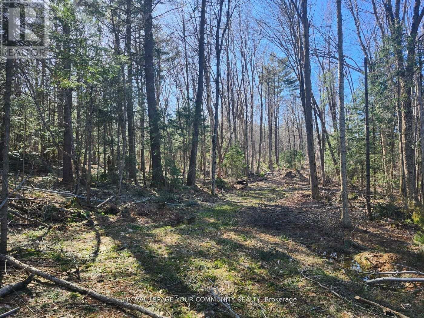 1282 Highway 118 Road E, Bracebridge, ON