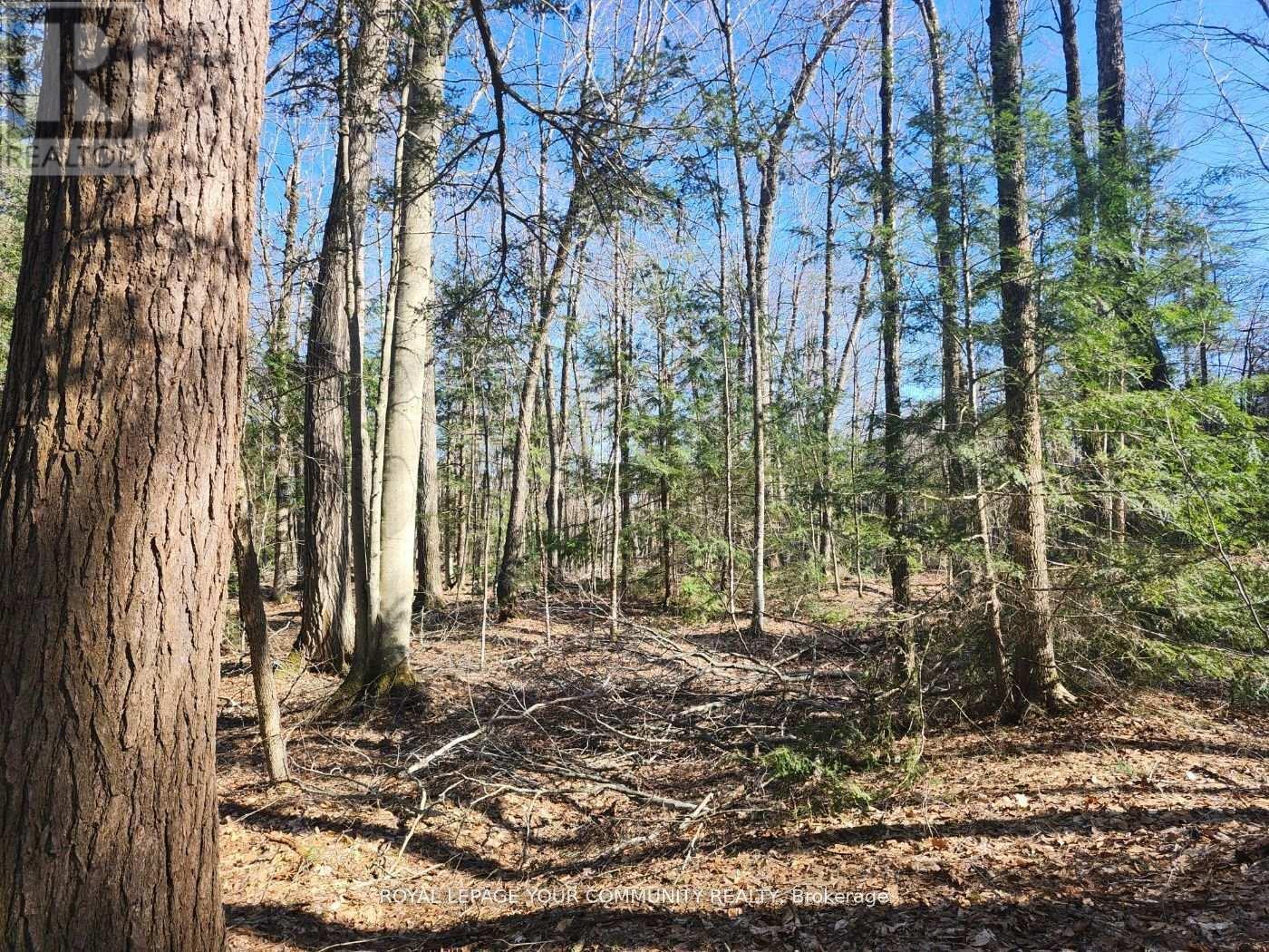 1282 Highway 118 Road E, Bracebridge, ON