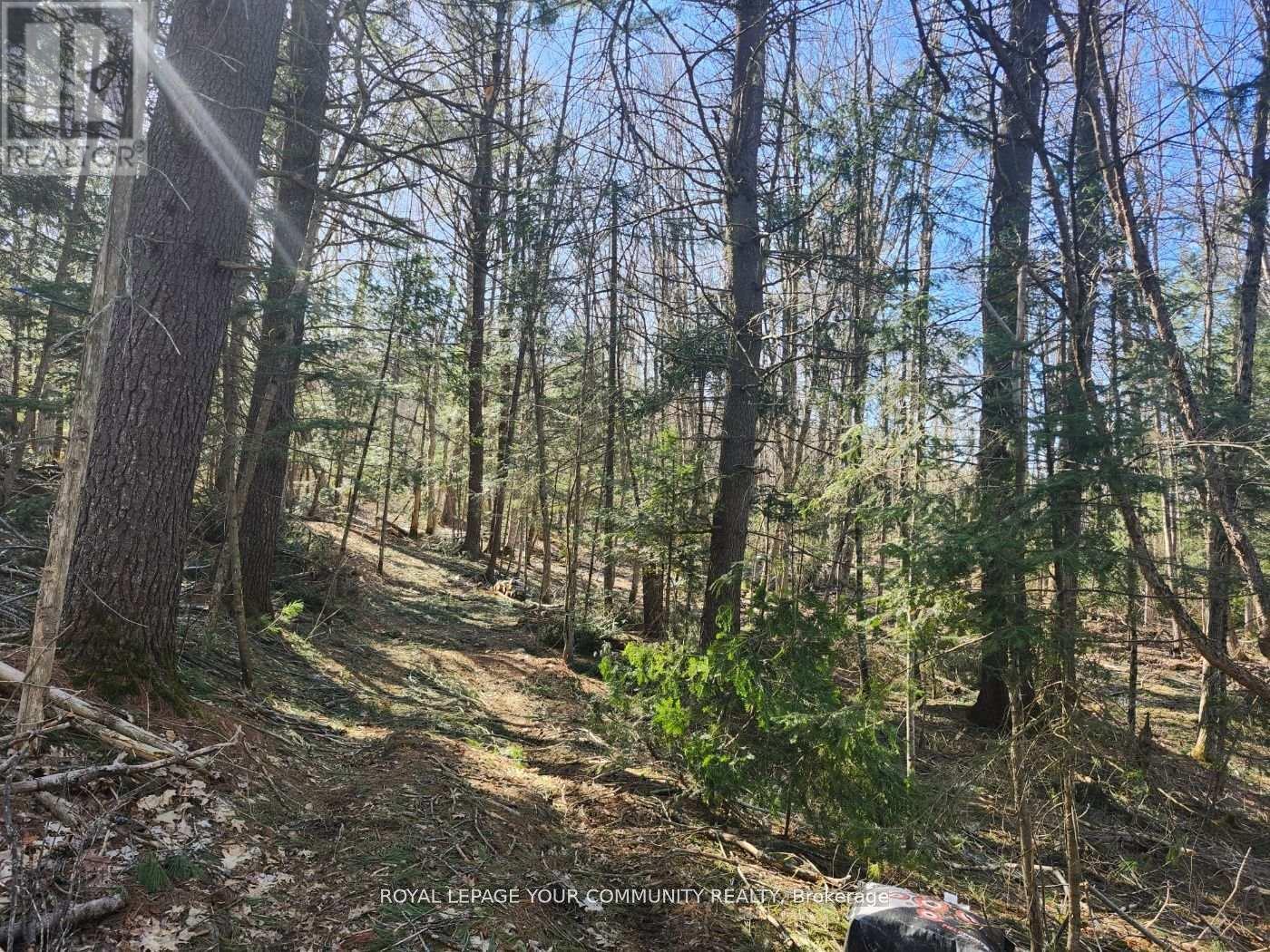 1282 Highway 118 Road E, Bracebridge, ON