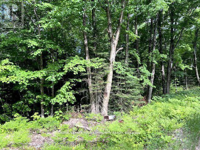 N/A Uffington Road, Bracebridge, ON