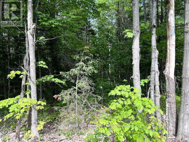 N/A Uffington Road, Bracebridge, ON