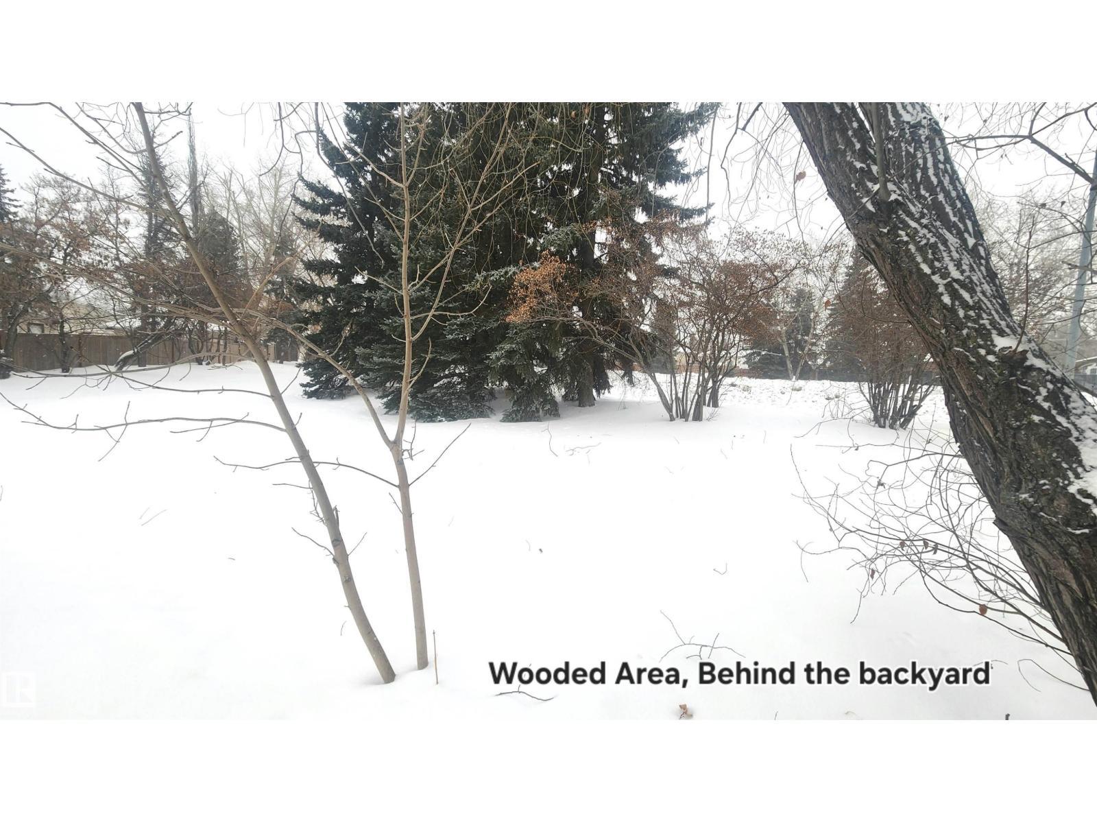 115 Ekota Cr Nw, Edmonton, AB - Outdoor