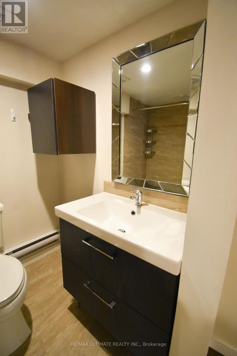 B - 205 Innisfil Street, Barrie, ON - Indoor Photo Showing Bathroom