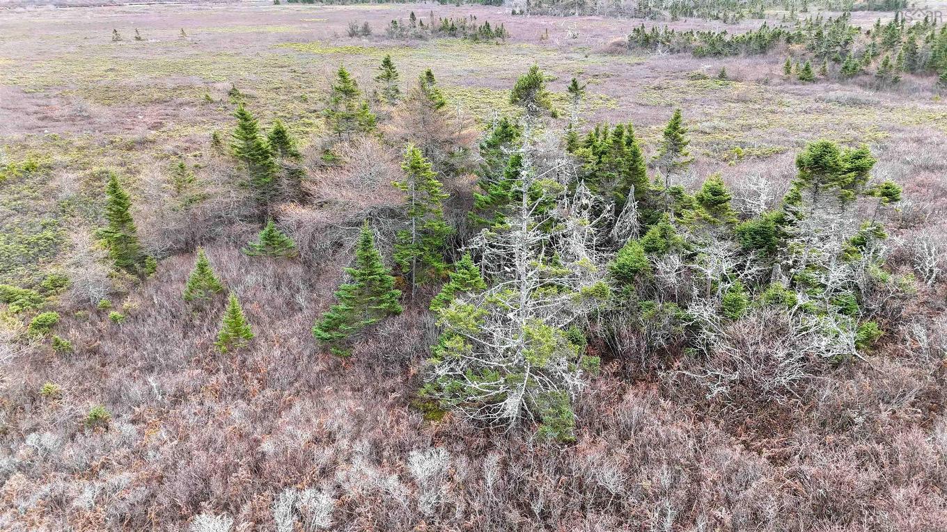 Popes Road, Charlesville, NS