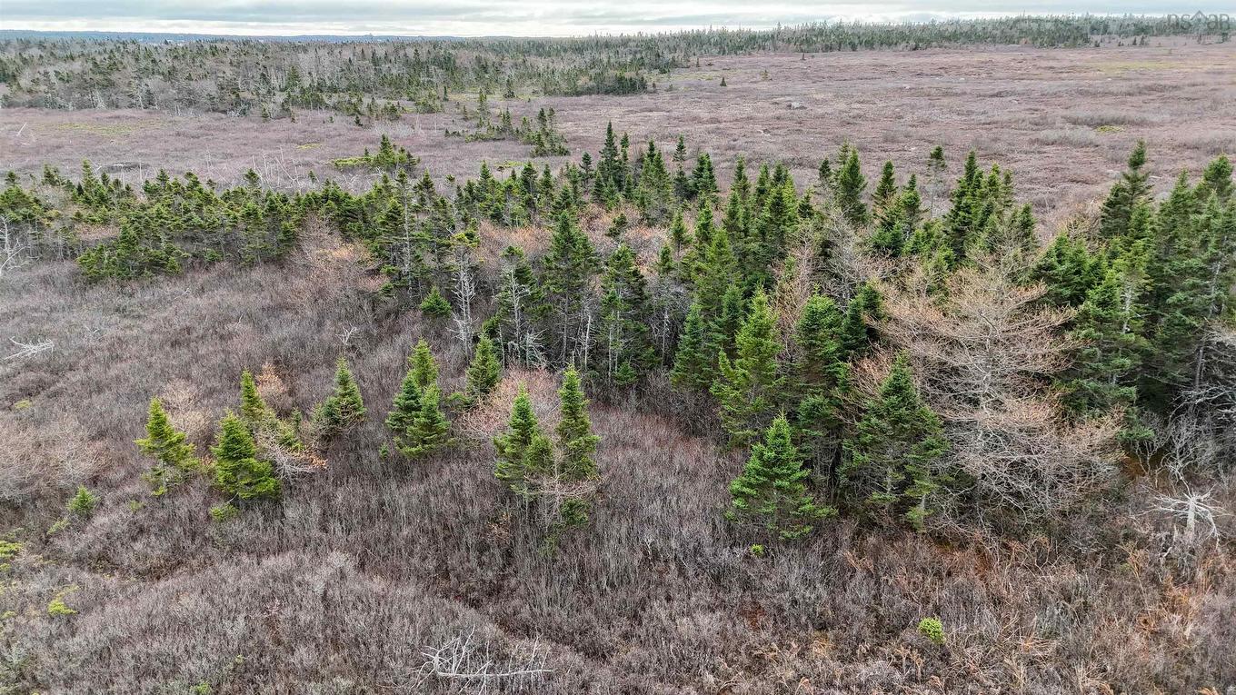 Popes Road, Charlesville, NS
