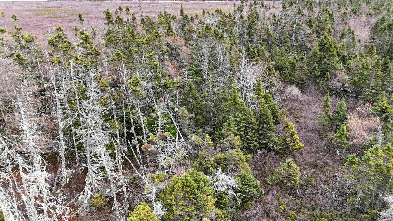Popes Road, Charlesville, NS