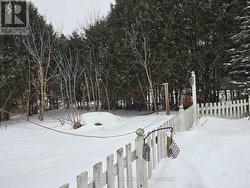 Fenced Portion of Back Yard -