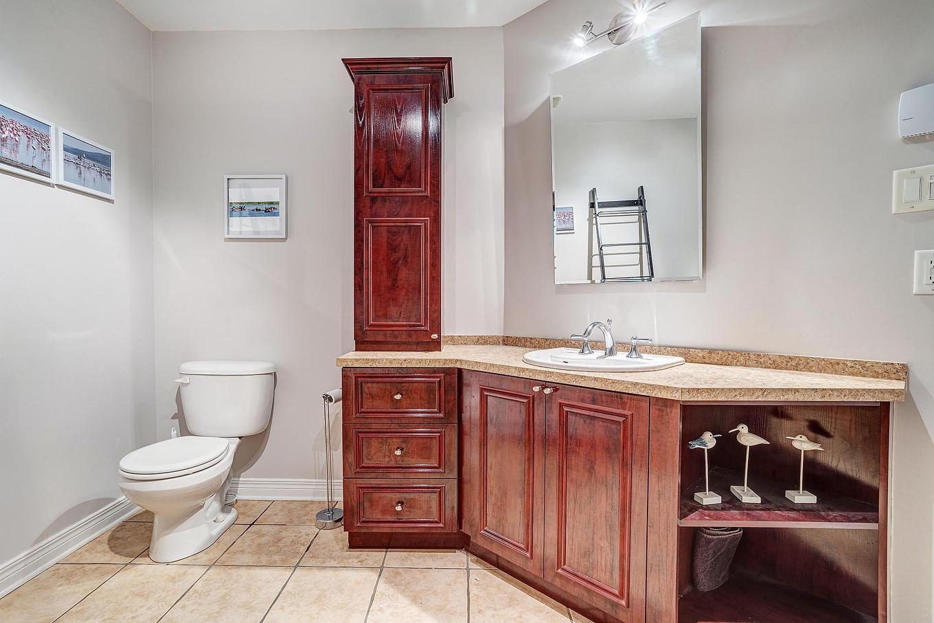 Salle de bains - 5-41 Rue De Maricourt, L'Île-Perrot, QC - Indoor Photo Showing Bathroom