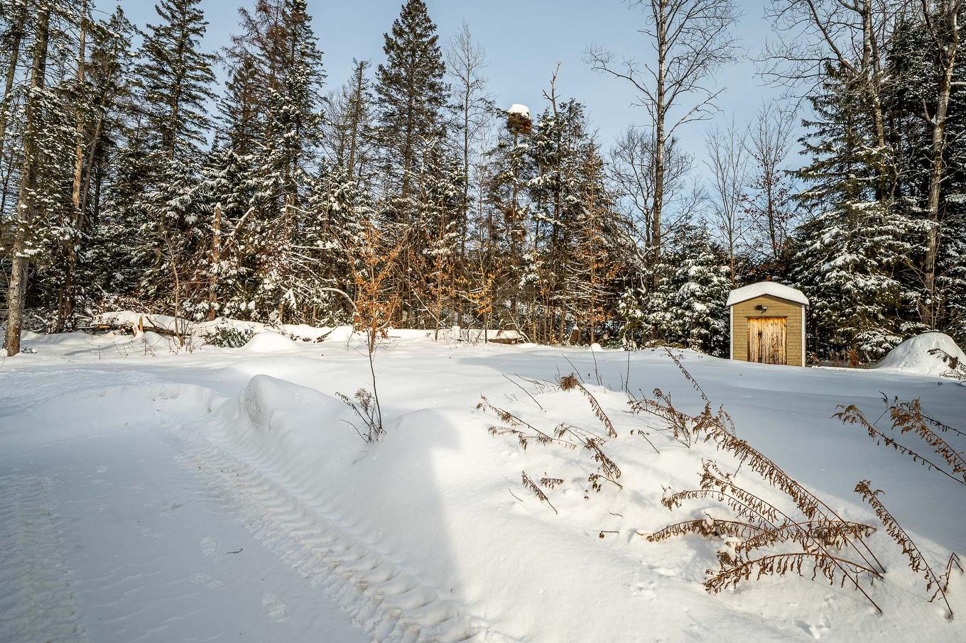 Backyard - 120 Ch. De Montfort, Saint-Adolphe-D'Howard, QC - Outdoor With View