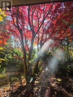 2264 Courrier Lane, Mississauga, ON - Outdoor With View