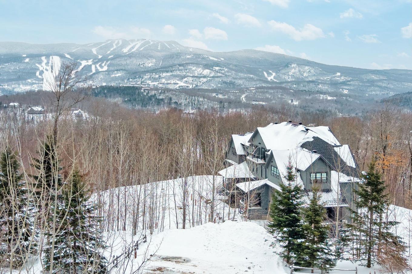 Overall view - 10-280 Rue Du Mont-Plaisant, Mont-Tremblant, QC - Outdoor With View
