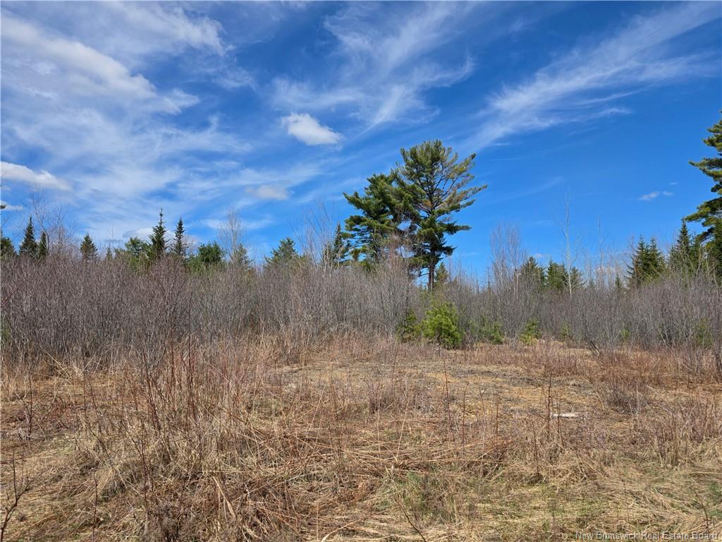 0 Crest Ave, Heathland, NB