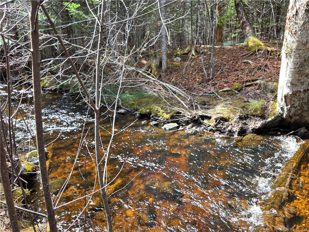 00 Crest Ave, Heathland, NB