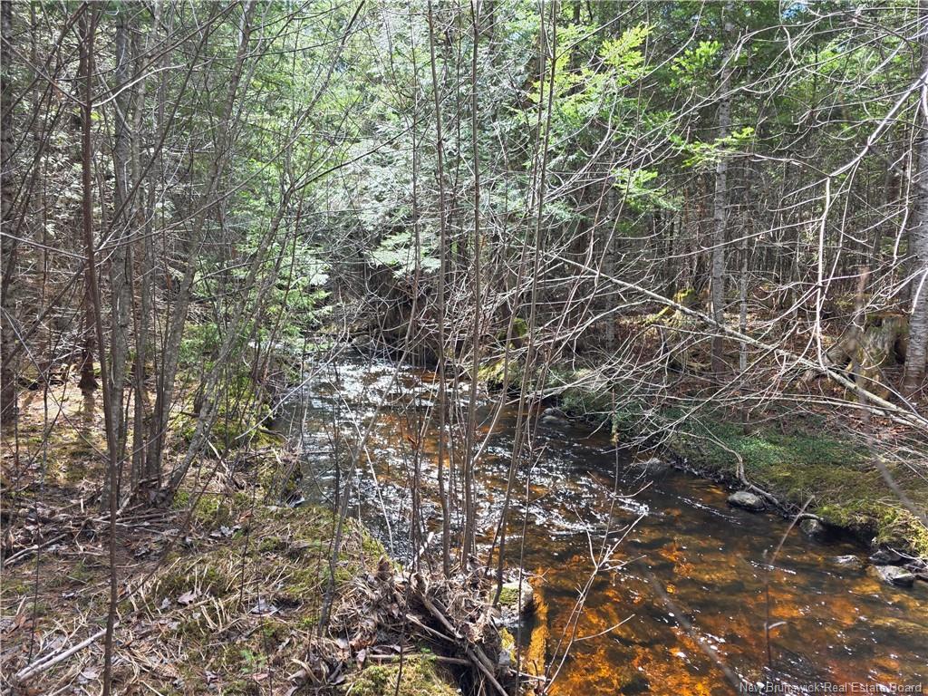 00 Crest Ave, Heathland, NB