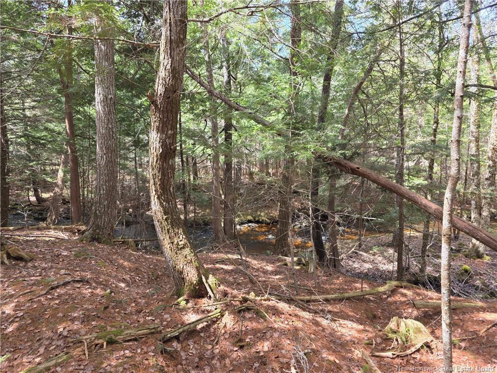 00 Crest Ave, Heathland, NB