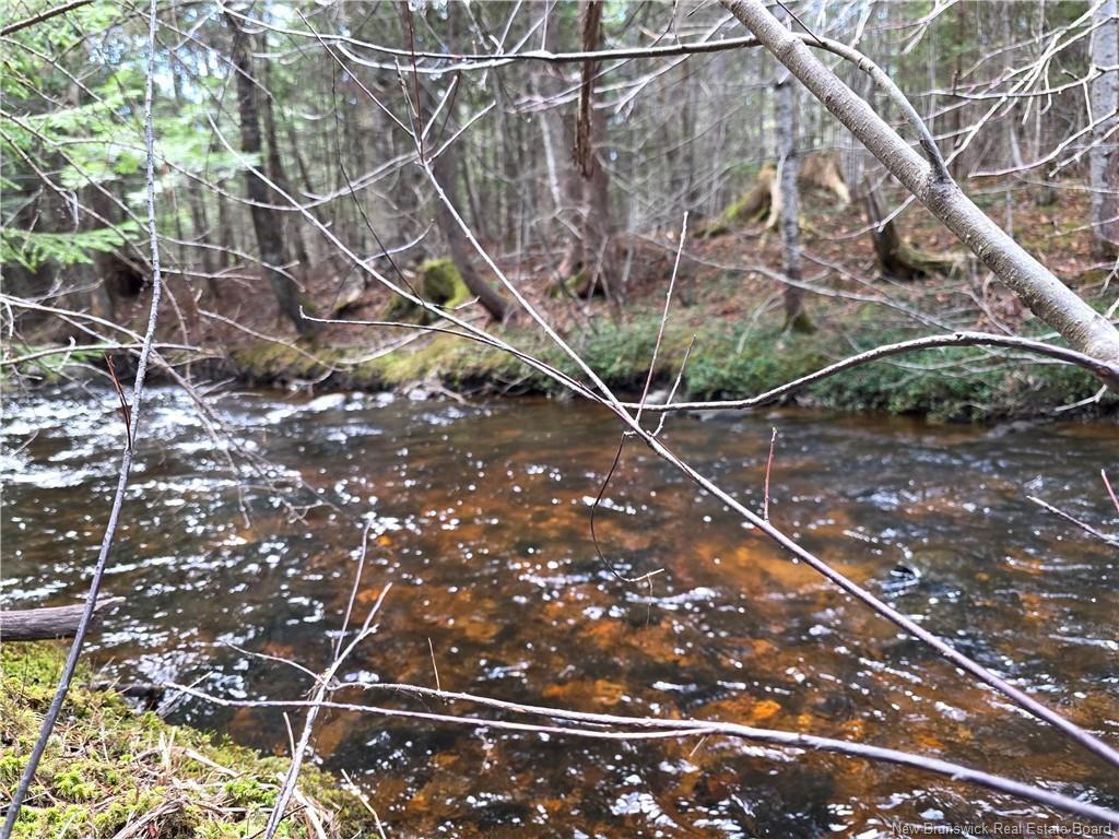00 Crest Ave, Heathland, NB