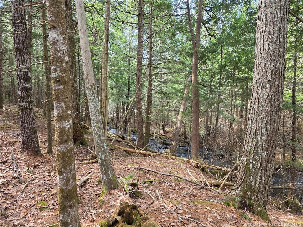 00 Crest Ave, Heathland, NB