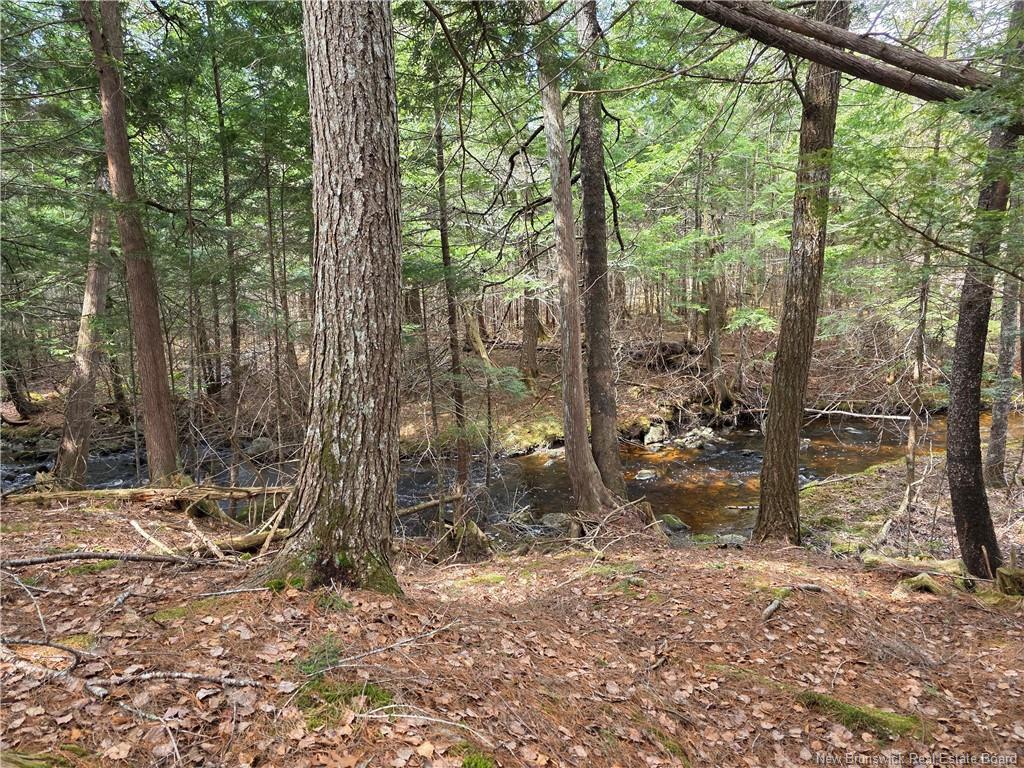 00 Crest Ave, Heathland, NB