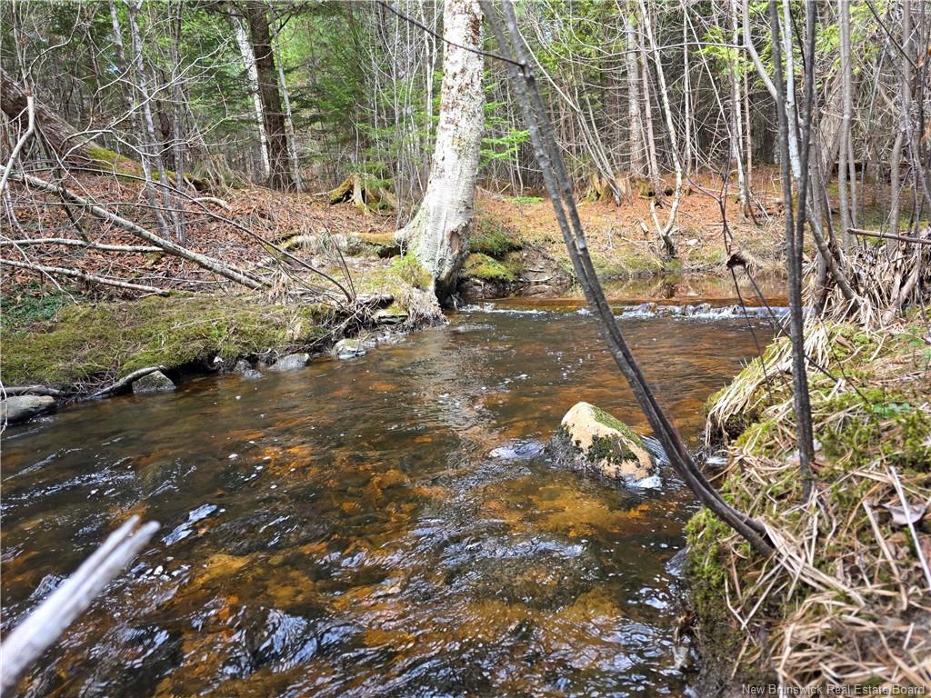 00 Crest Ave, Heathland, NB
