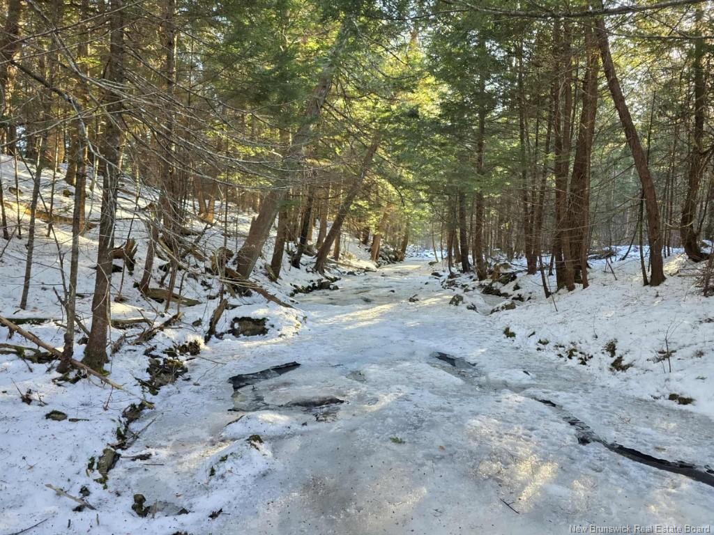 00 Crest Ave, Heathland, NB