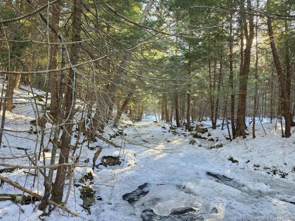 00 Crest Ave, Heathland, NB