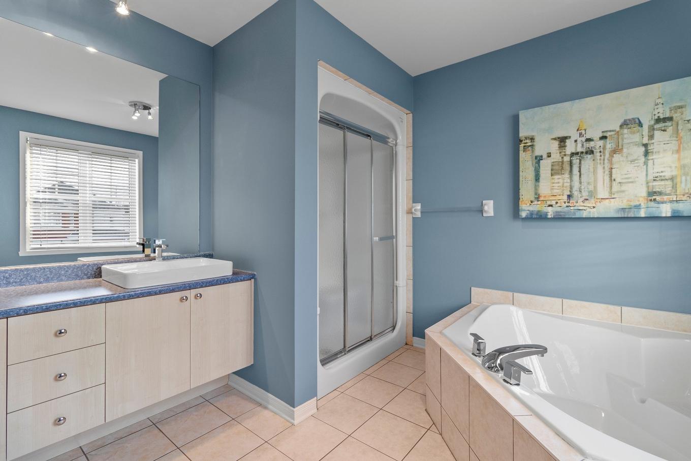 Bathroom - 907 Rue Henri-Massé, Longueuil (Saint-Hubert), QC - Indoor Photo Showing Bathroom