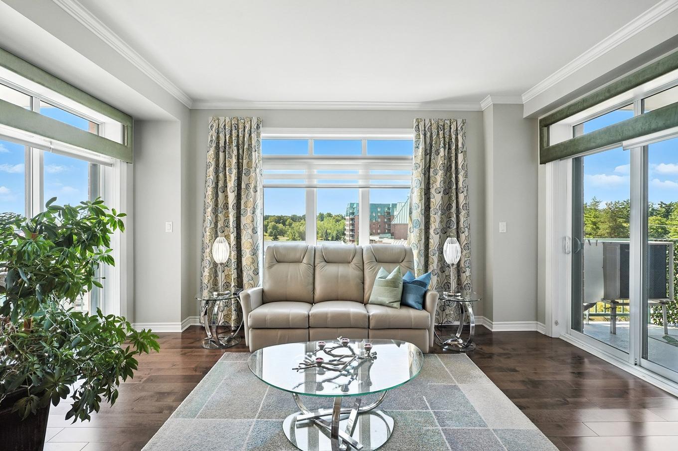 Salon - 412-1180 Ch. D'Aylmer, Gatineau (Aylmer), QC - Indoor Photo Showing Living Room
