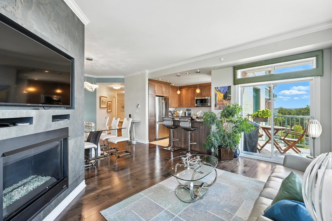 Salon - 412-1180 Ch. D'Aylmer, Gatineau (Aylmer), QC - Indoor Photo Showing Living Room With Fireplace