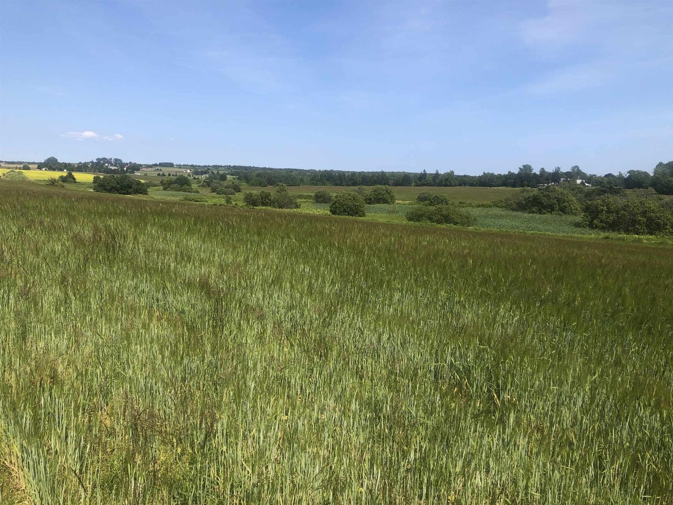 Lot 3 Darrach Road, New Dominion, PE