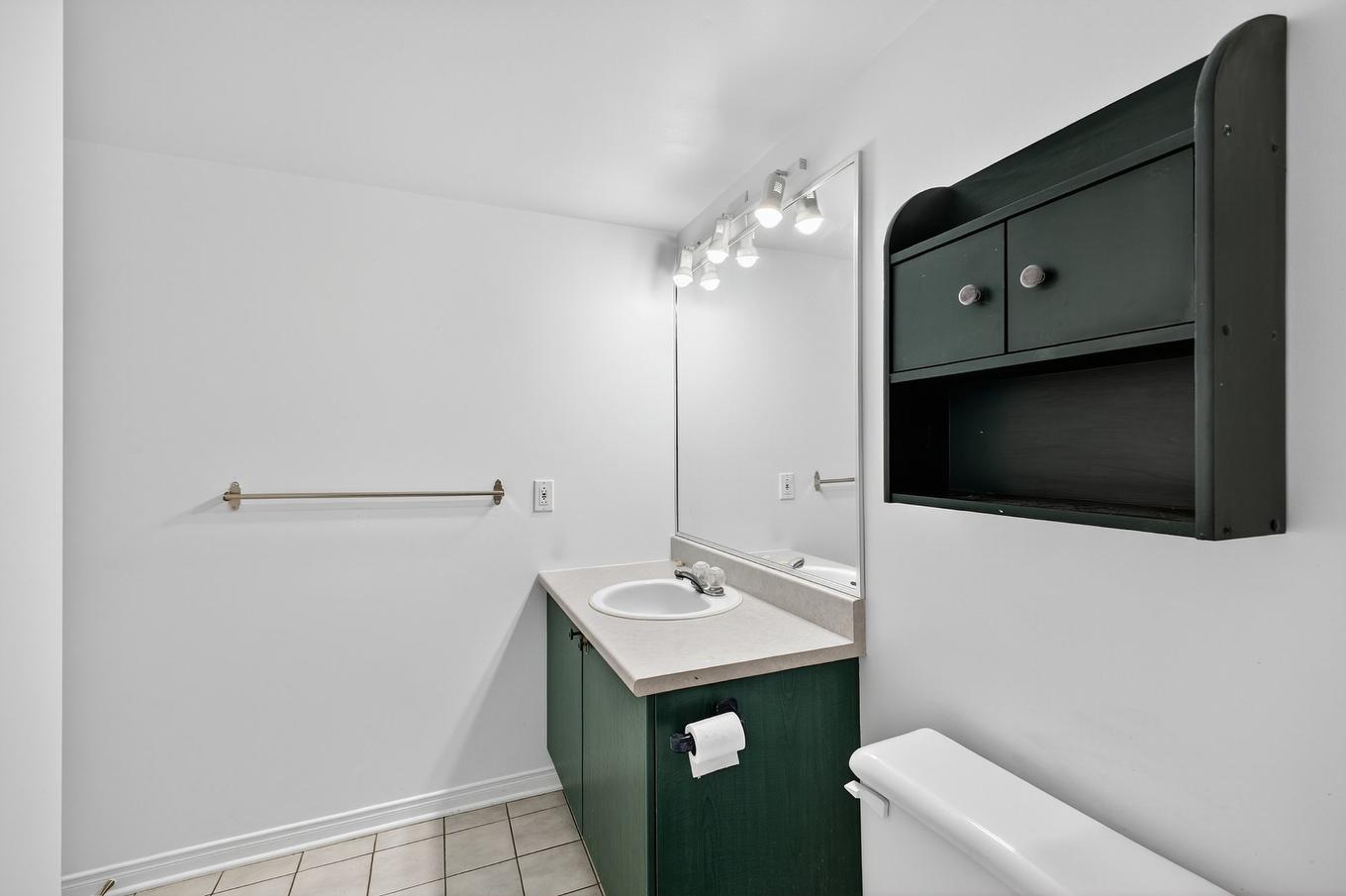 Salle de bains - 503-2075 Rue Caroline-Béique, Montréal (Ahuntsic-Cartierville), QC - Indoor Photo Showing Bathroom