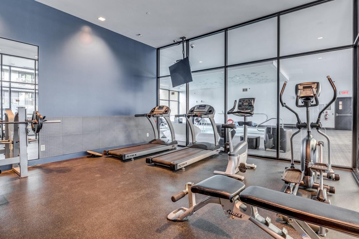Exercise room - 1415-1375 Rue Des Bassins, Montréal (Le Sud-Ouest), QC - Indoor Photo Showing Gym Room