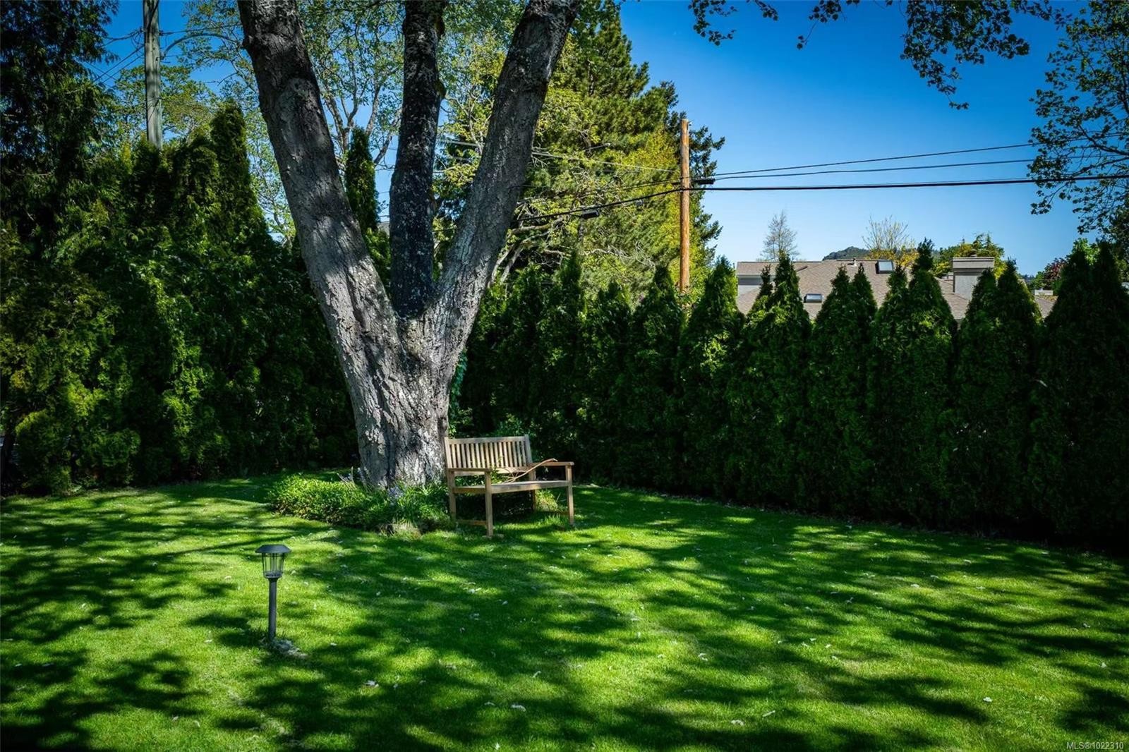 3956 Cedar Hill Cross Rd, Saanich, BC