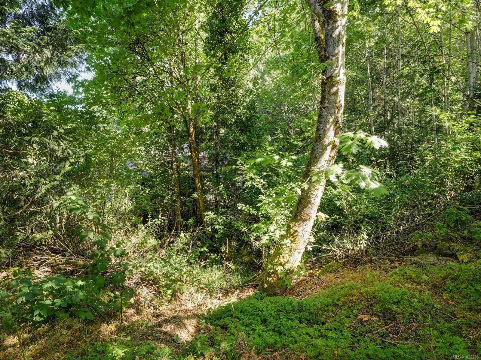 5142 West Saanich Rd, Saanich, BC