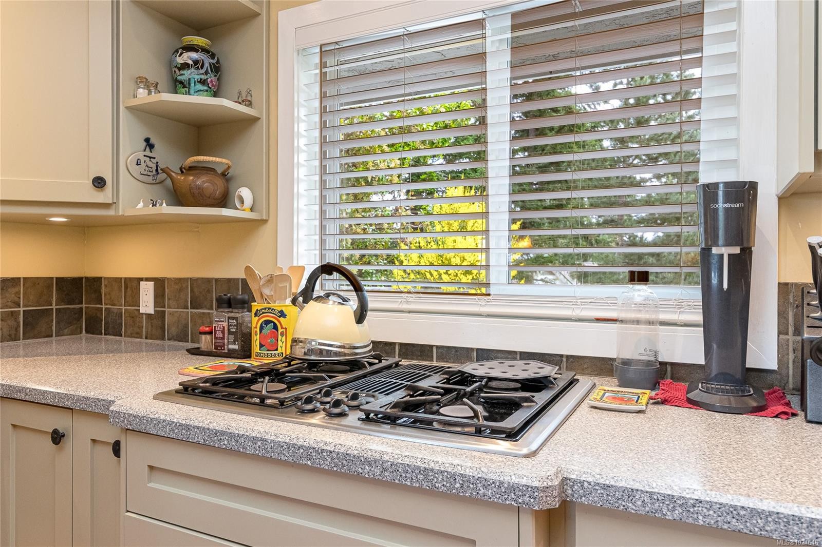 4725 Treetop Hts, Saanich, BC