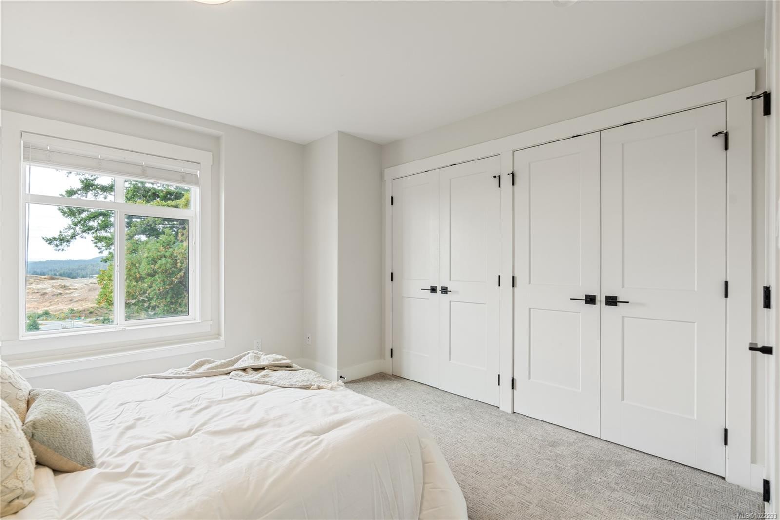 1161 Moonstone Loop, Langford, BC