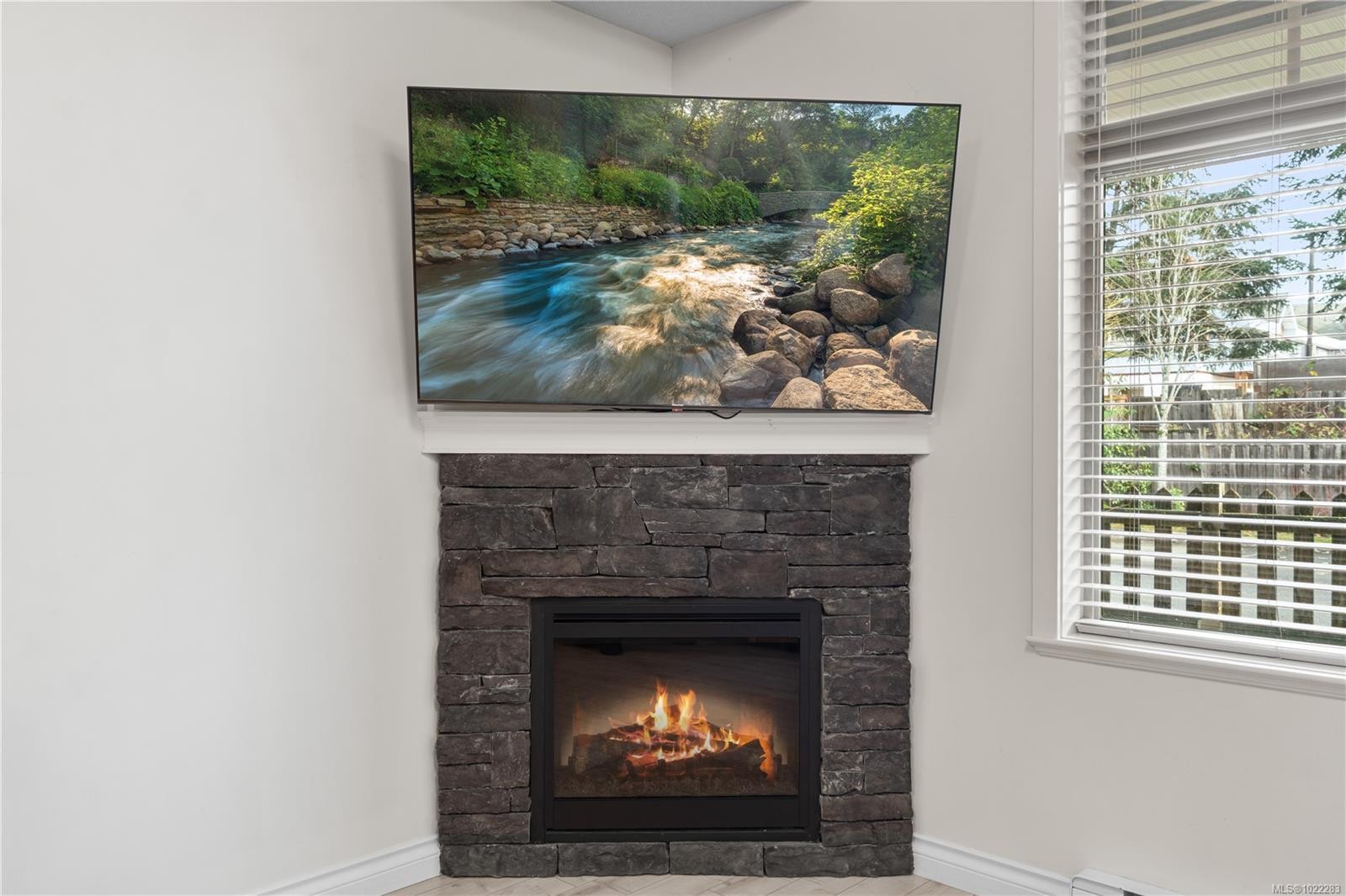 107-2111 Meredith Rd, Nanaimo, BC - Indoor Photo Showing Living Room With Fireplace