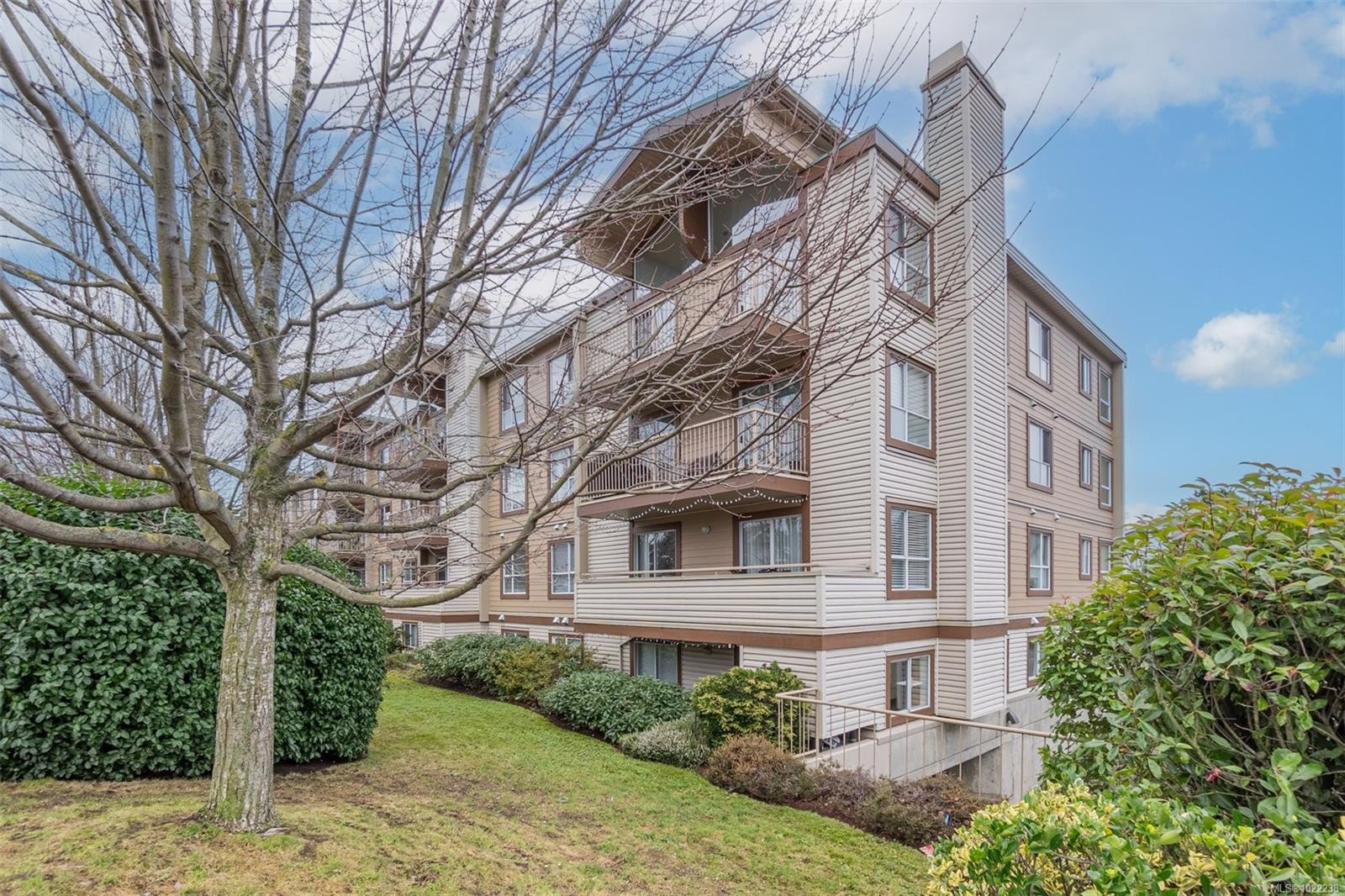 201-1055 Hillside Ave, Victoria, BC - Outdoor