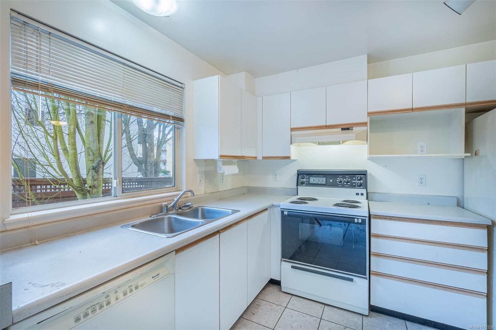 201-1055 Hillside Ave, Victoria, BC - Indoor Photo Showing Kitchen With Double Sink