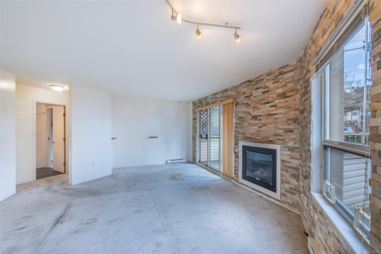 201-1055 Hillside Ave, Victoria, BC - Indoor With Fireplace