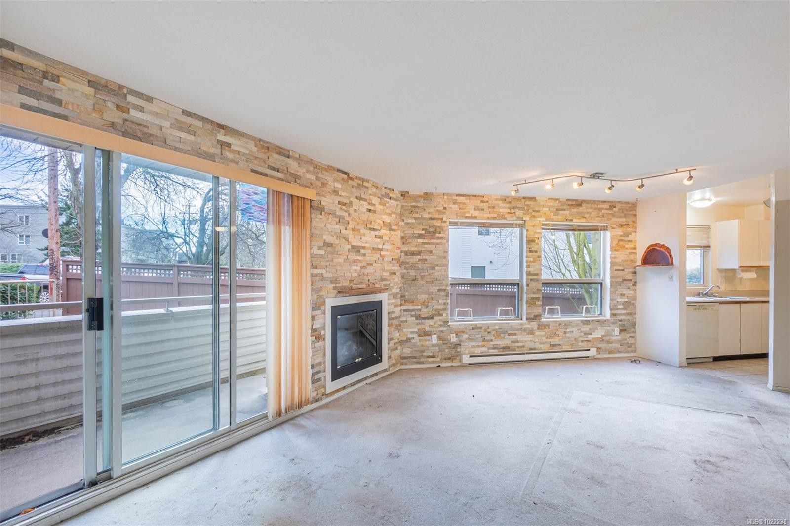 201-1055 Hillside Ave, Victoria, BC - Indoor Photo Showing Living Room With Fireplace