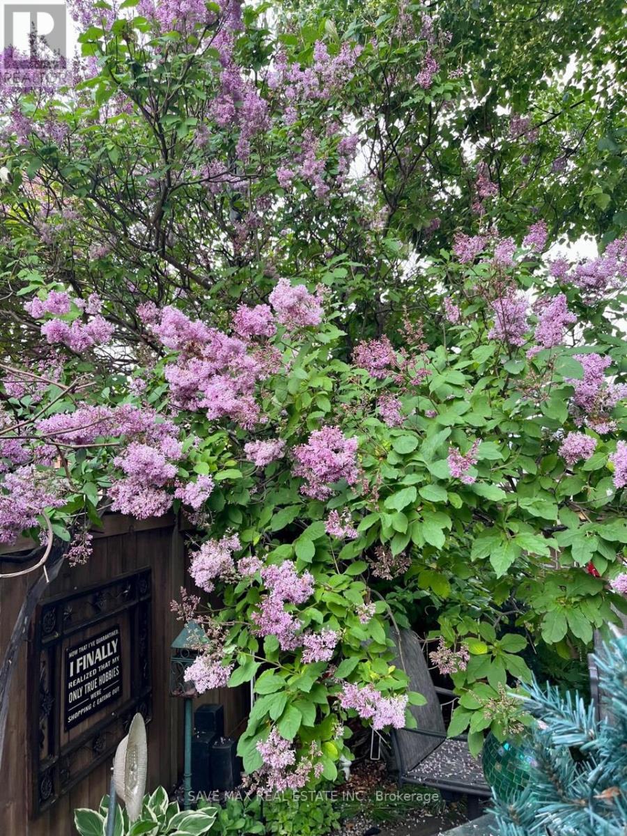 13 Pressed Brick Drive, Brampton, ON - Outdoor